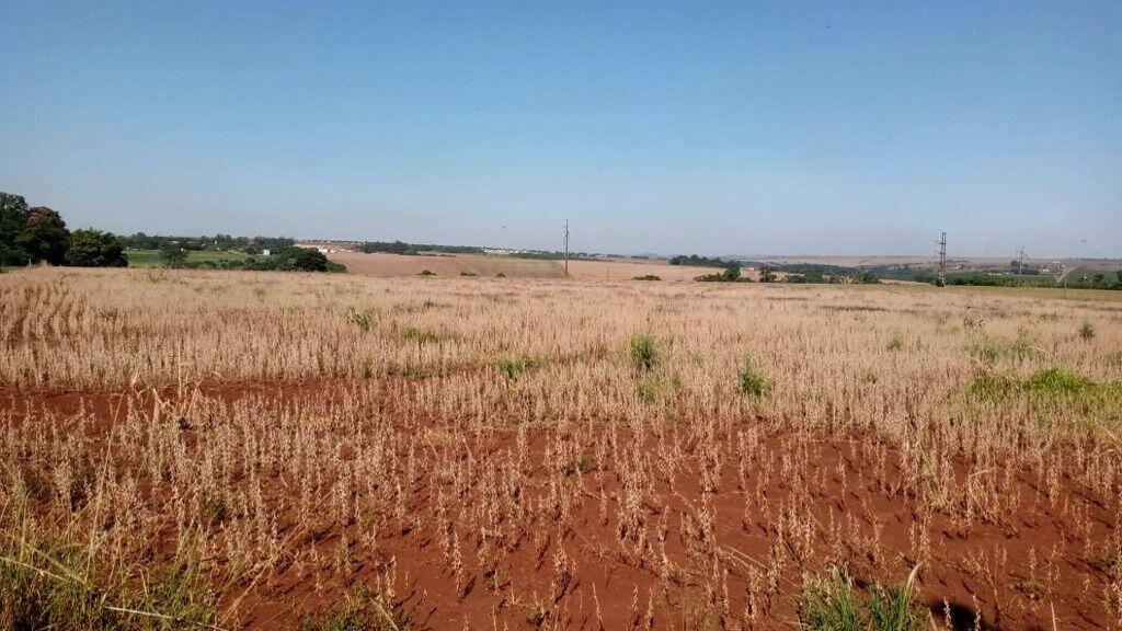 Terreno à venda em Zona 43, Maringá - PR