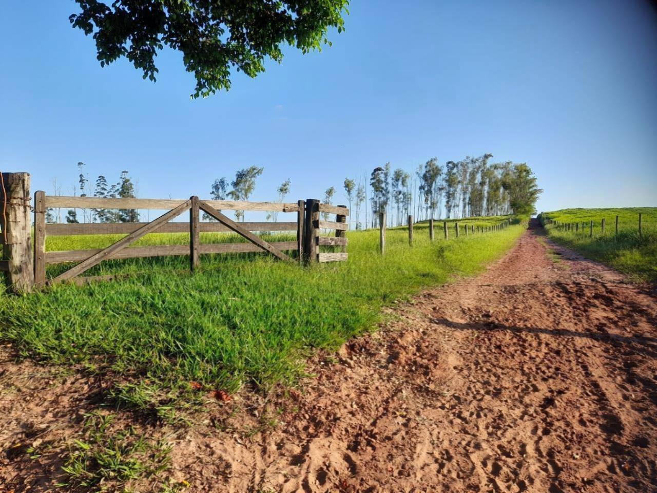 Chácara/Sítio à venda em Rural, Mariluz - PR