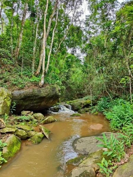 Fazenda à venda em Paraiba do Sul, Paraíba do Sul - RJ