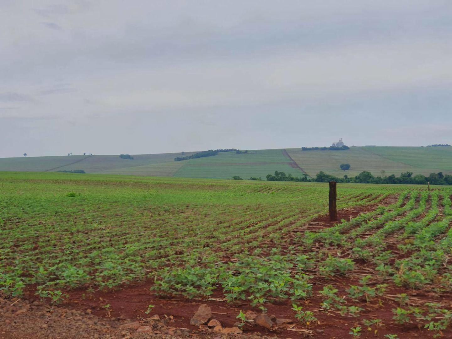 Chácara/Sítio à venda em Rural, Ourizona - PR