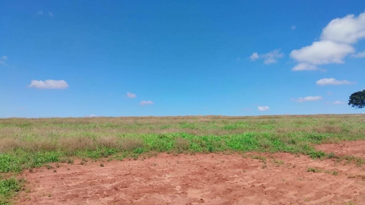 Chácara/Sítio à venda em Distrito de Iguatemi (Iguatemi), Maringá - PR
