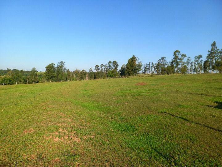 Chácara/Sítio à venda em Br, Nova Esperança - PR
