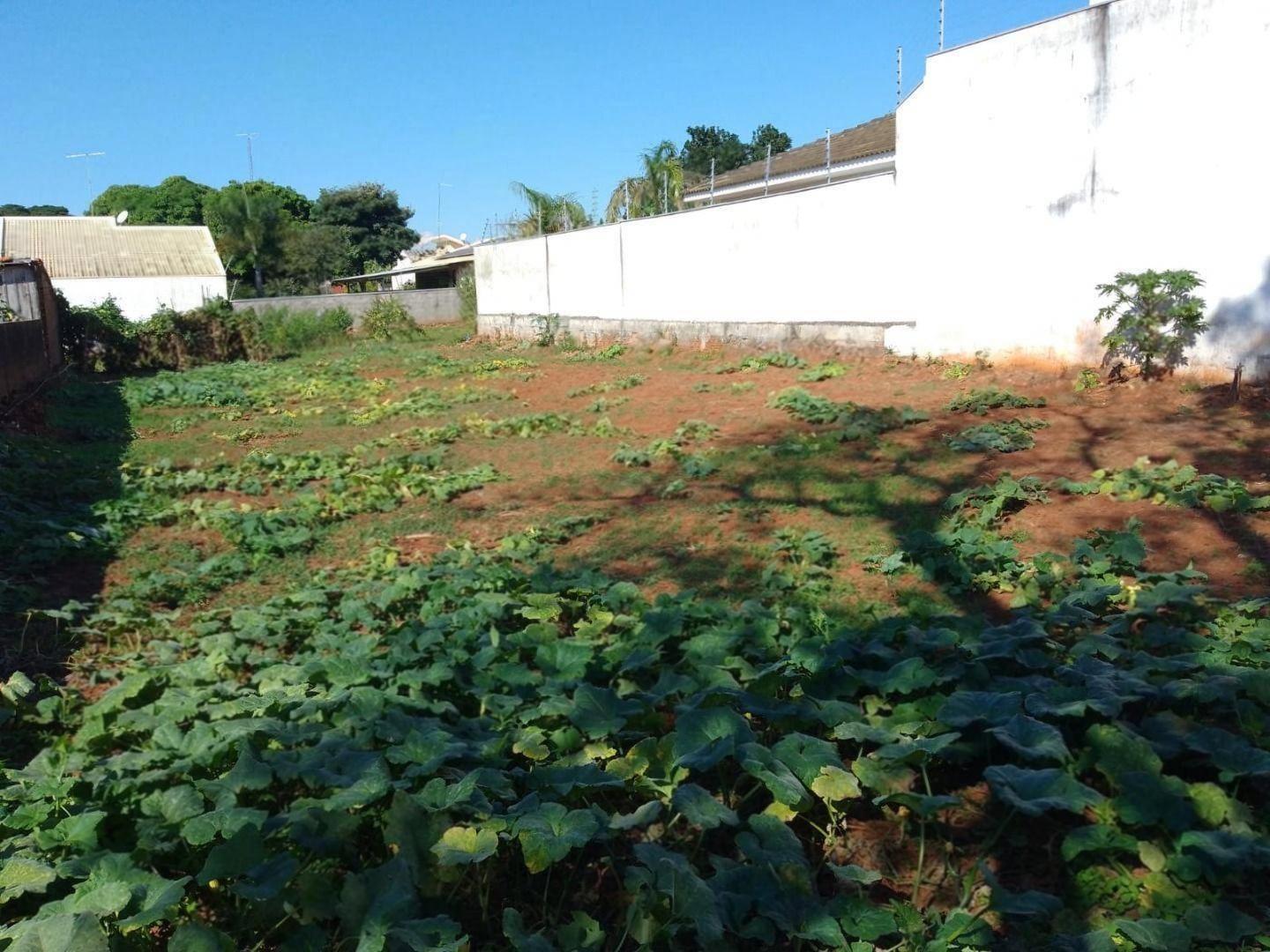 Terreno à venda em Jardim Bela Vista, Iguaraçu - PR