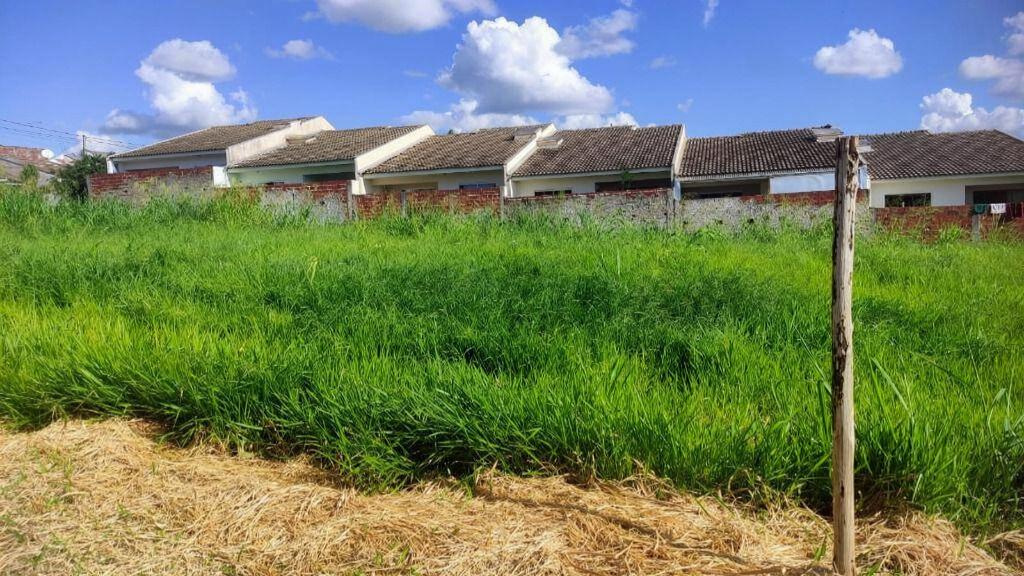 Terreno à venda em Jardim Sao Pedro, Marialva - PR