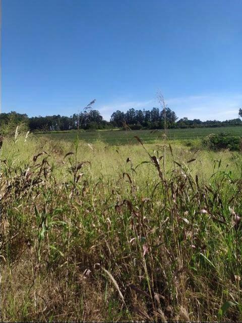 Chácara/Sítio à venda em Distrito de Iguatemi (Iguatemi), Maringá - PR