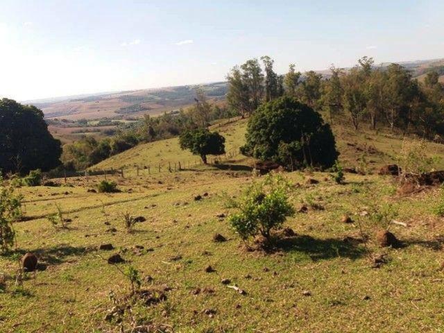 Chácara/Sítio à venda em Rural, Mandaguari - PR