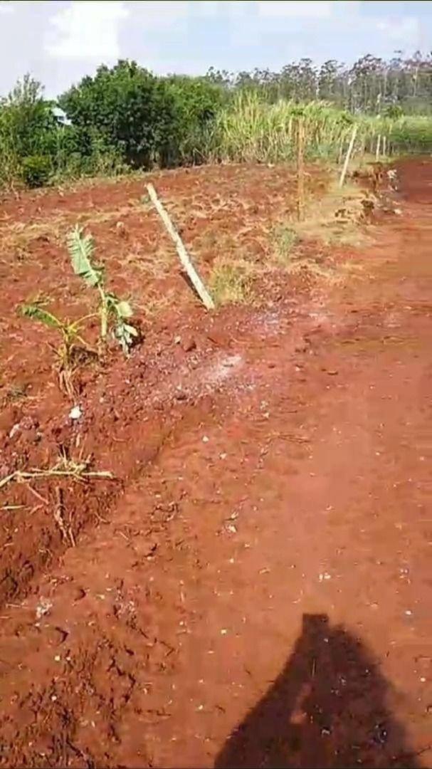 Chácara/Sítio à venda em Centro, Mandaguari - PR