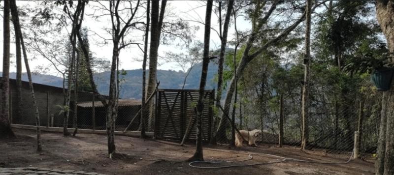 Terreno em condomínio à venda em Itaipava, Petrópolis - RJ