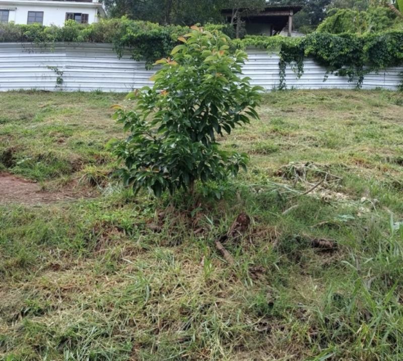 Terreno à venda em Nogueira, Petrópolis - RJ