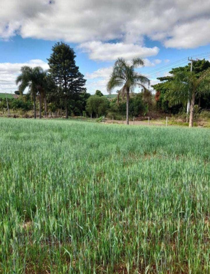 Chácara/Sítio à venda em Jardim Sao Jorge, Paranavaí - PR