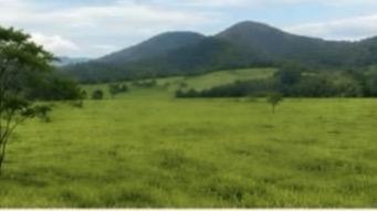 Fazenda à venda em Ururai, Campos De Goytacazes - RJ