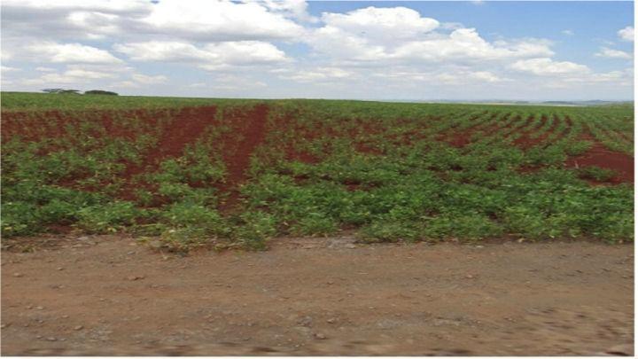 Terreno à venda em Distrito Industrial 2, Maringá - PR