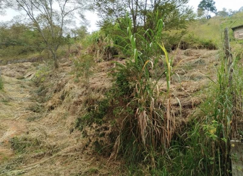 Terreno à venda em Vila Canaã, Araruama - RJ