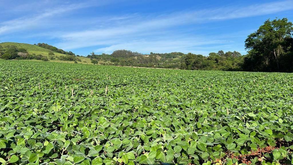 Terreno à venda em Zona Rural, São Pedro do Iguaçu - PR