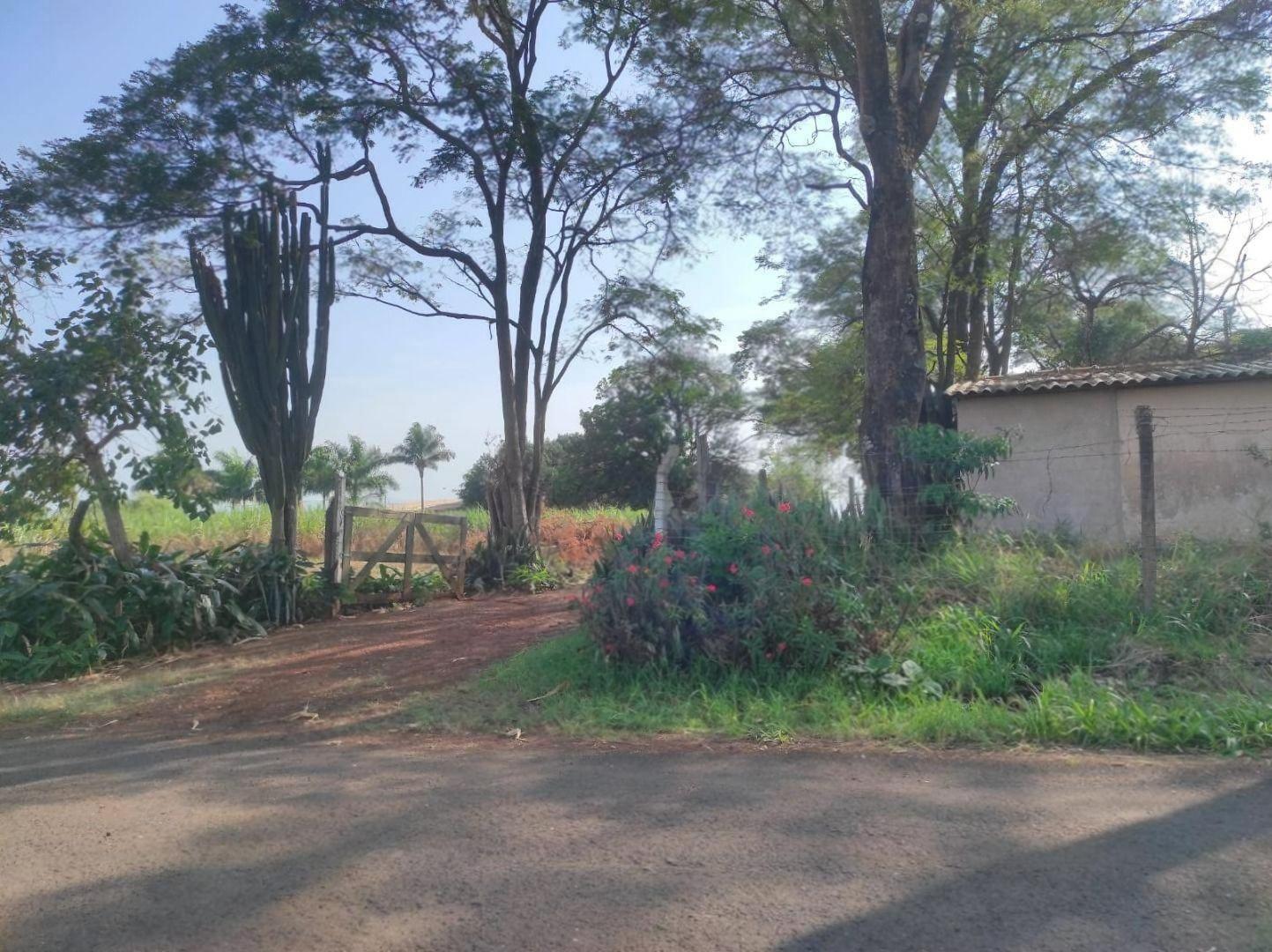 Chácara/Sítio à venda em Gleba Patrimônio Maringá, Maringá - PR