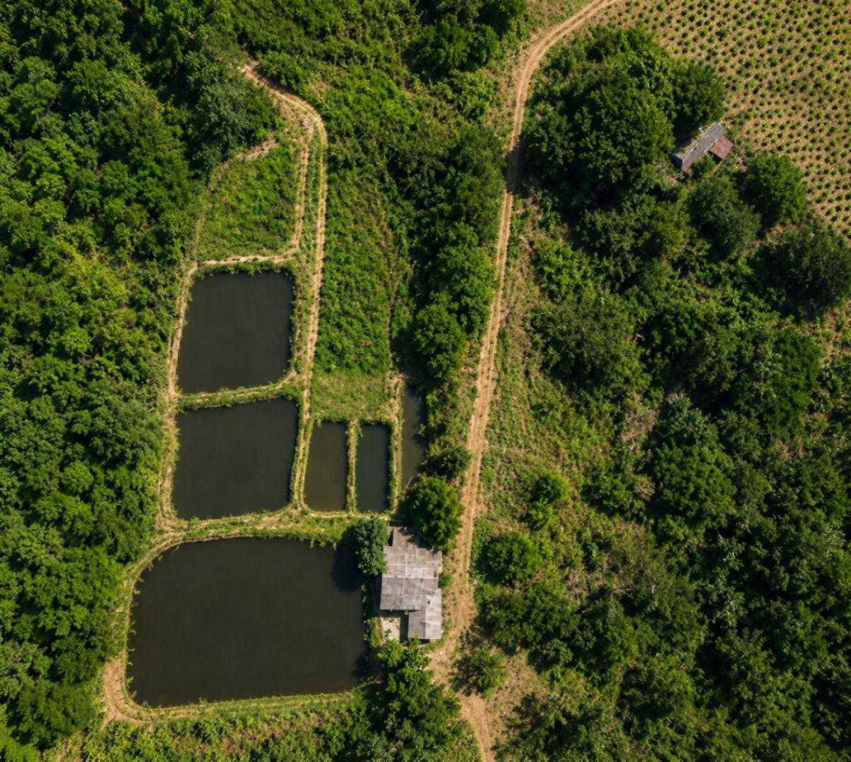 Chácara/Sítio à venda em Gleba Ribeirao Pinguim, Maringá - PR