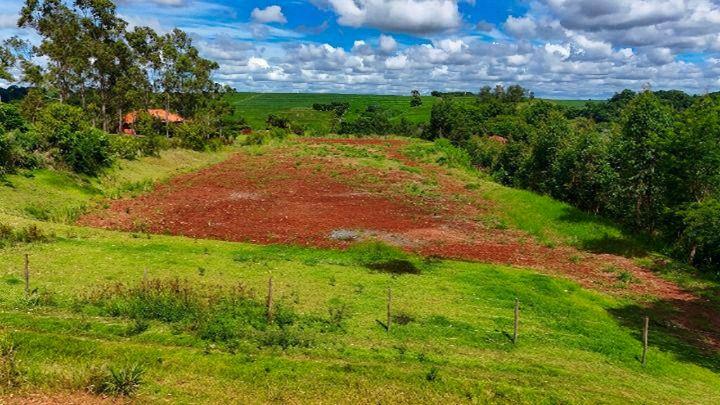 Chácara/Sítio à venda em Jardim Ouro Cola, Maringá - PR