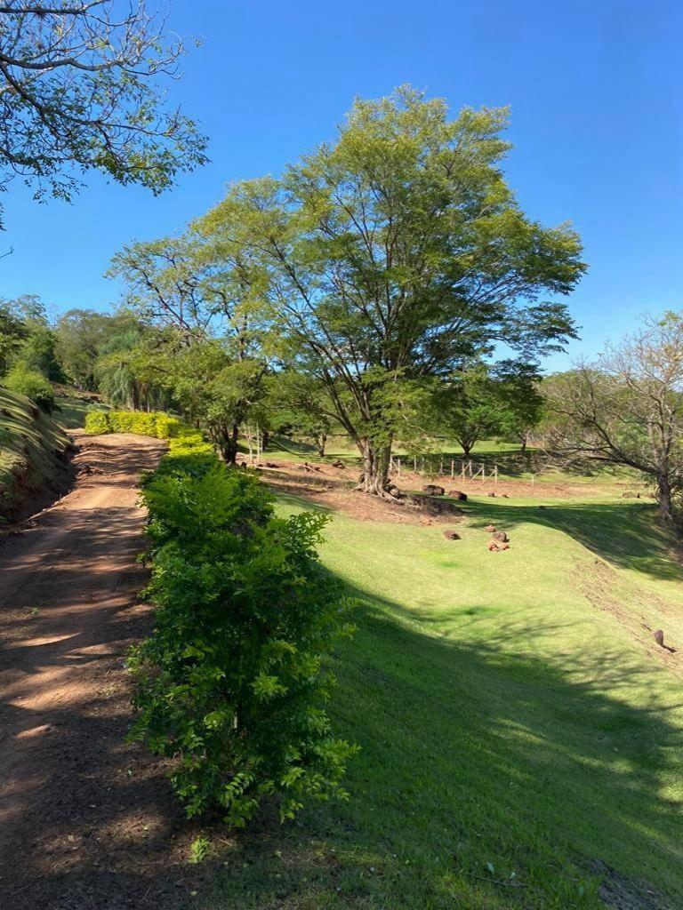 Terreno em condomínio à venda em Limoeiro, Ibiporã - PR