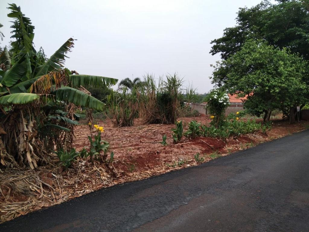 Chácara/Sítio à venda em Zona Rural, Marialva - PR