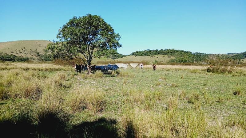 Fazenda à venda em Centro, Silva Jardim - RJ