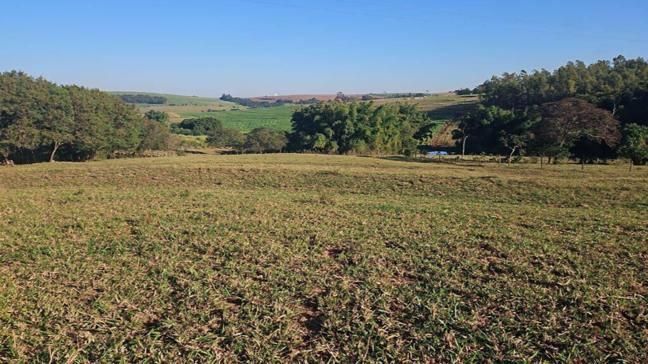 Chácara/Sítio à venda em Estrada, Floraí - PR