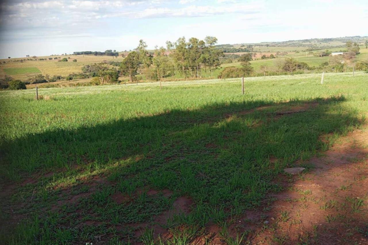 Terreno à venda em Centro, Nossa Senhora das Graças - PR