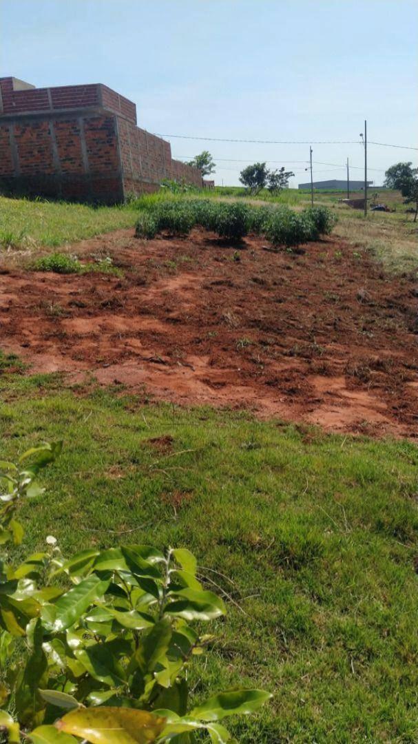 Terreno à venda em Jardim Colombo, Maringá - PR