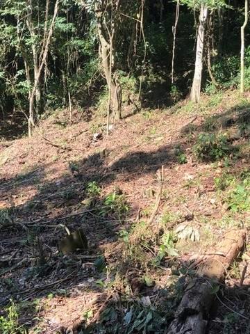 Terreno à venda em Itaipava, Petrópolis - RJ